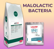 How to conduct a Malolactic fermentation (MLF)
