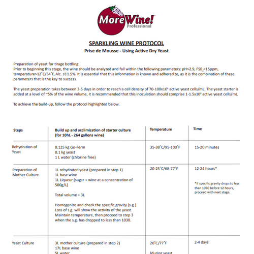 Sparkling Wine Process Protocol