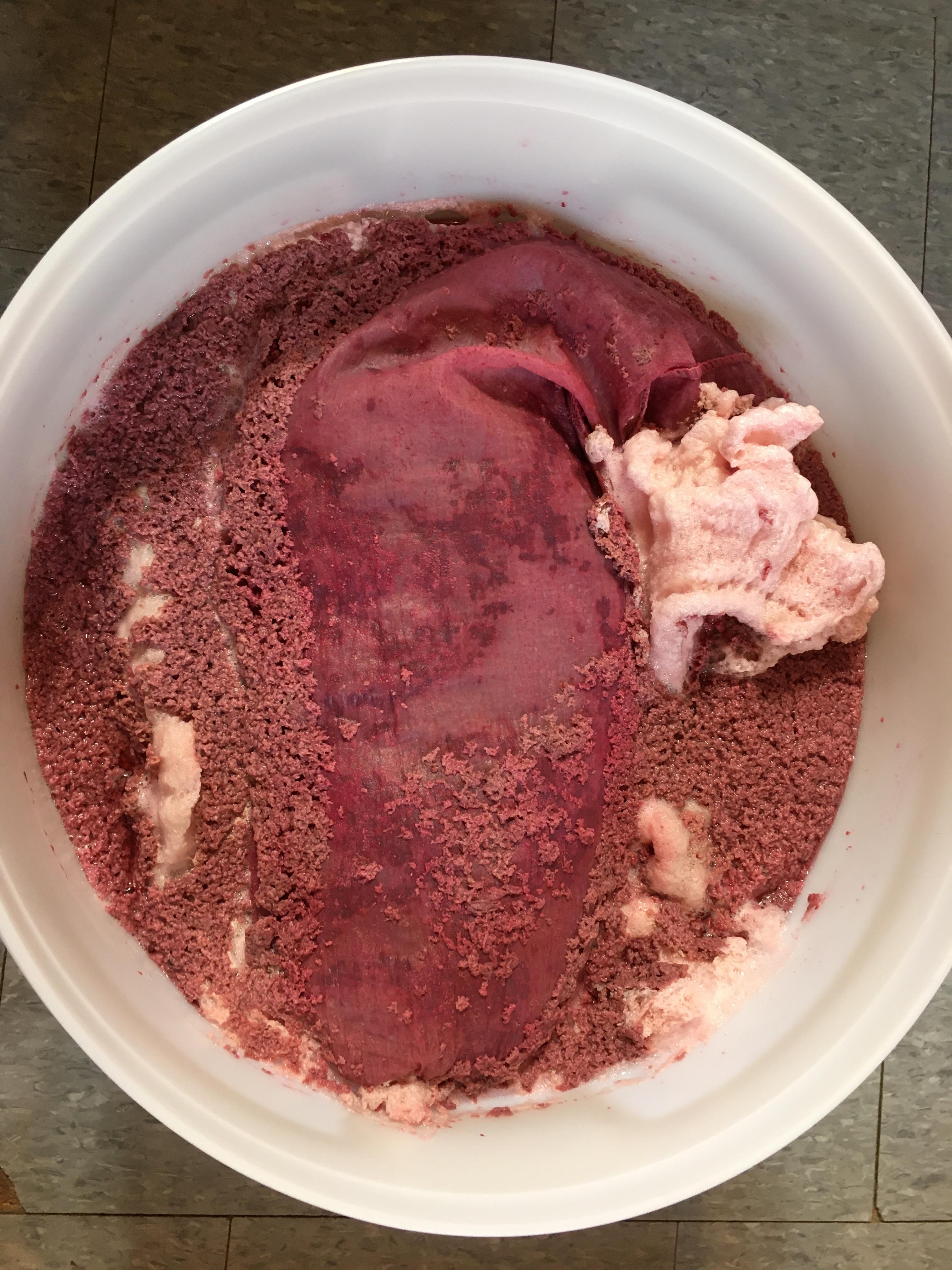 How to Make Red Wine at Home: A Step-by-Step Guide for Beginners