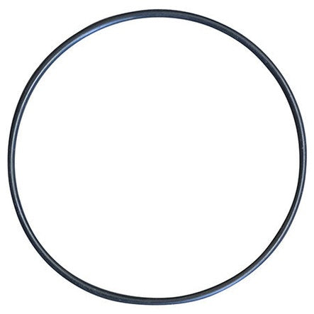 O-Ring for PMP520 - Euro 20