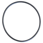 Body O-Ring for PMP530 & PMP535 Euro 30 Pumps (Pos. 6)