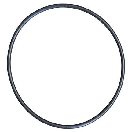 Body O-Ring for Euro 30 Pumps
