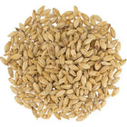 Malt - Dingemans Pale Ale - Per Lb (Showroom Only)
