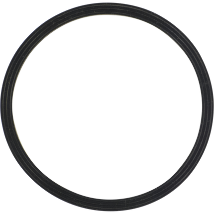 Fermentasaurus Replacement Lid Seal