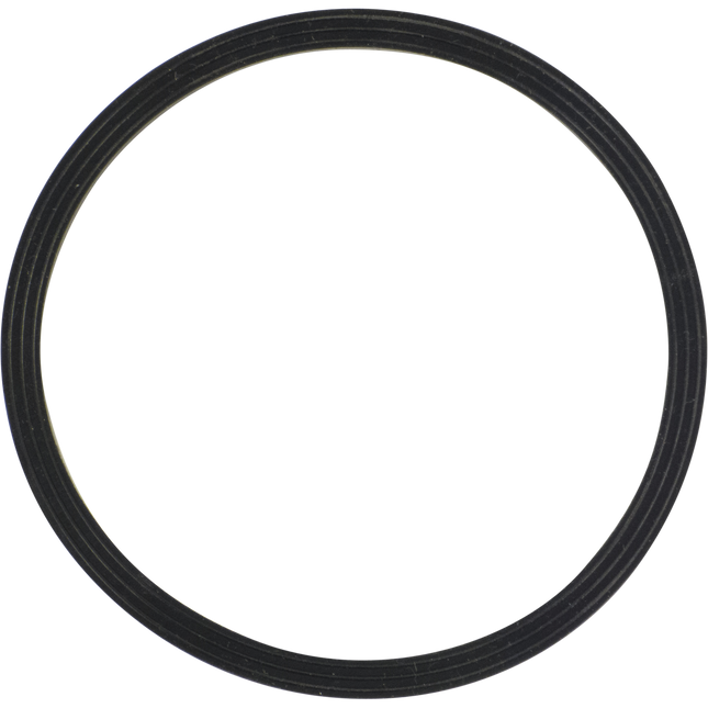 Fermentasaurus Replacement Lid Seal