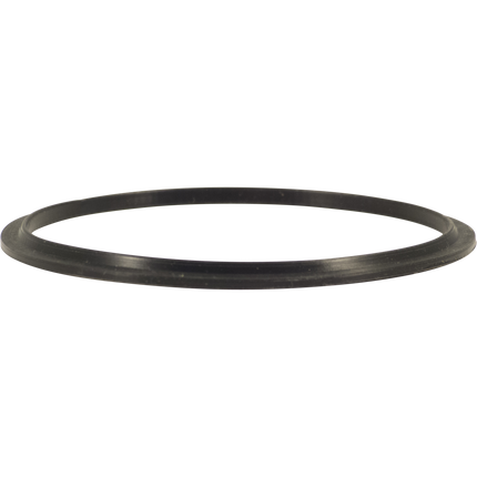 Fermentasaurus Replacement Lid Seal