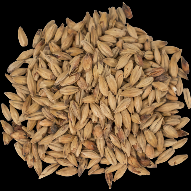 Malt - Melanoidin - Per Lb (Showroom Only)