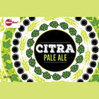 Kit (Extract) - Citra Pale Ale - PLACEHOLDER