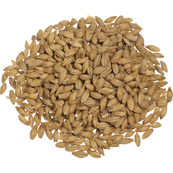 Distillers Malt - Briess Malting