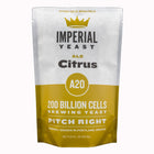 Imperial Yeast - Citrus