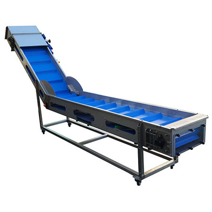 EnoItalia - Sorting and Loading Belt