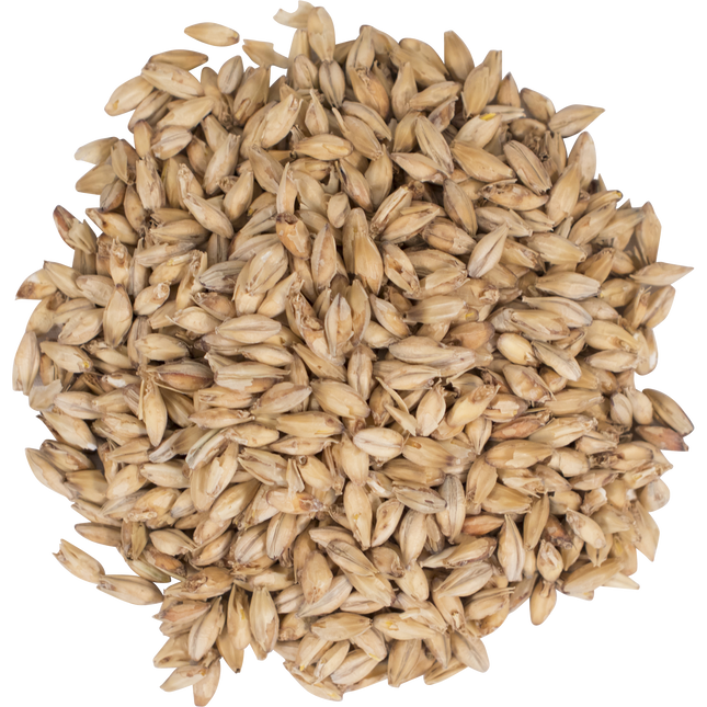 Malt - Briess Pale Ale - Per Lb (Showroom Only)