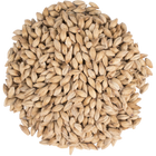 Malt - Golden Promise - Per Lb (Showroom Only)