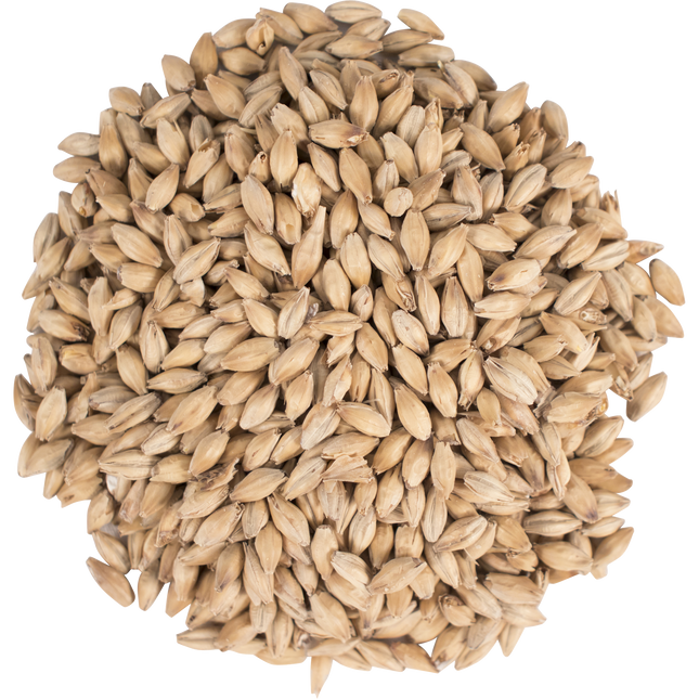 Malt - Golden Promise - Per Lb (Showroom Only)