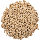 Malt - Great Western White Wheat - Per Lb (Showroom Only)