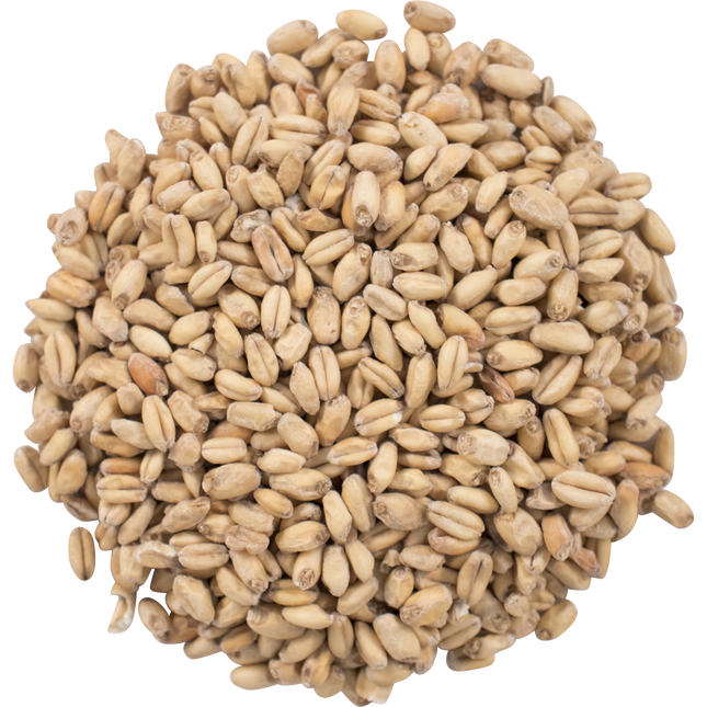 Malt - Great Western White Wheat - Per Lb (Showroom Only)