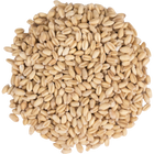 Malt - Briess Raw White Wheat - Per Lb (Showroom Only)