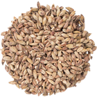 Malt - Special Roast - Per Lb (Showroom Only)