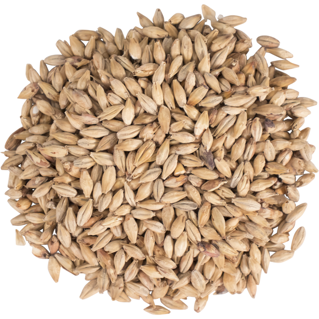 Malt - Dark Munich - Per Lb (Showroom Only)