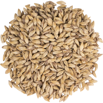 Malt - Carapils - Per Lb (Showroom Only)