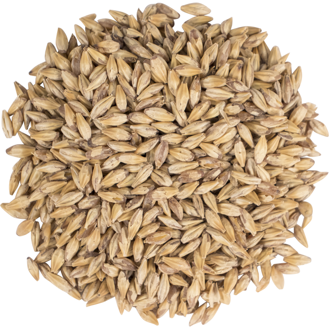 Malt - Carapils - Per Lb (Showroom Only)