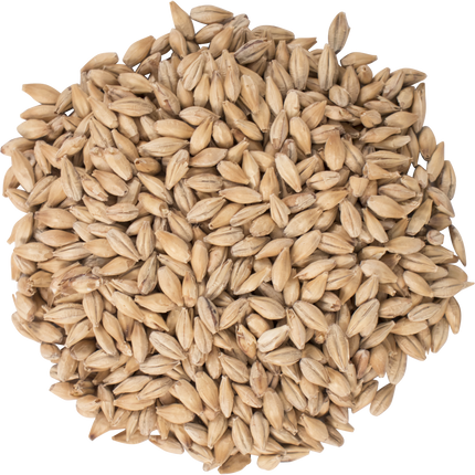 Malt - CaraFoam - Per Lb (Showroom Only)