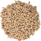 Malt - CaraFoam - Per Lb (Showroom Only)