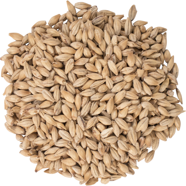 Malt - CaraFoam - Per Lb (Showroom Only)