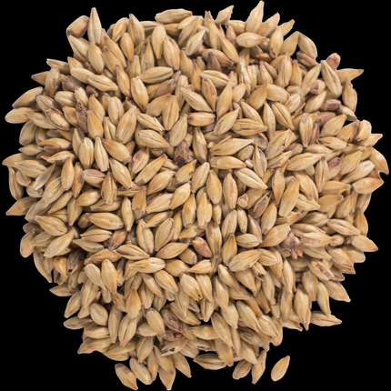 Malt - CaraRed - Per Lb (Showroom Only)