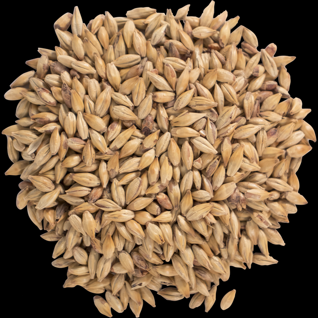 Malt - CaraRed - Per Lb (Showroom Only)