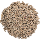 Malt - Rye - Per Lb (Showroom Only)