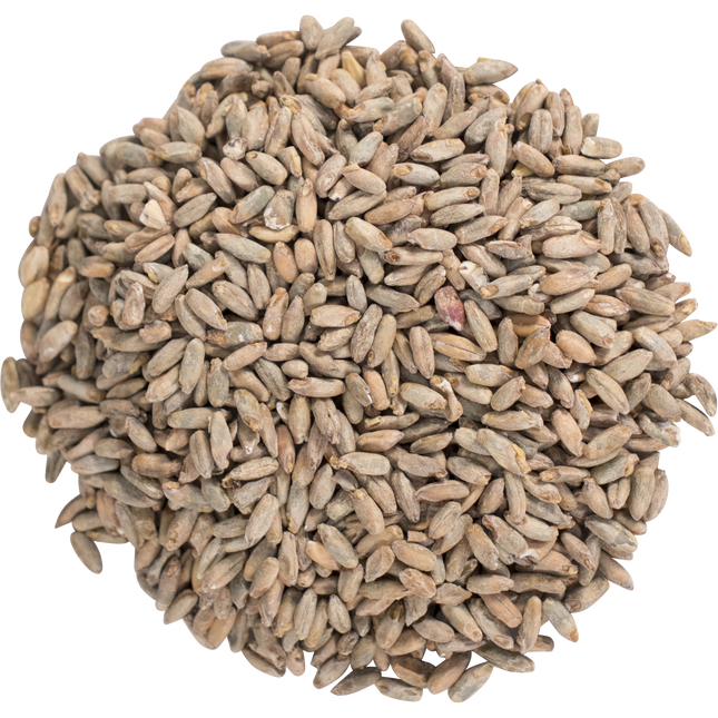 Malt - Rye - Per Lb (Showroom Only)