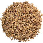 Malt - Caramel 40L - Per Lb (Showroom Only)