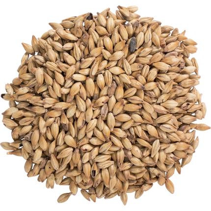 Malt - Carastan - Per Lb (Showroom Only)