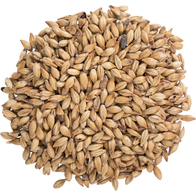 Malt - Carastan - Per Lb (Showroom Only)