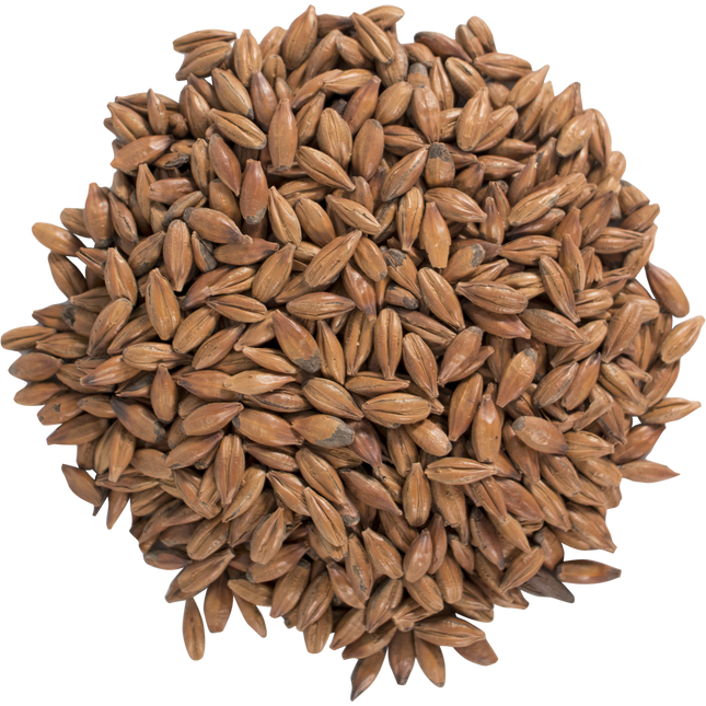Malt - English Brown - Per Lb (Showroom Only)