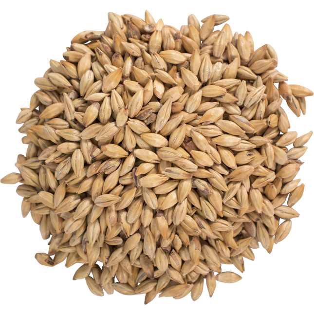 Malt - Weyermann Carahell - Per Lb (Showroom Only)