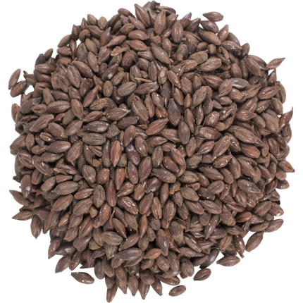 Malt - Roasted Barley - Per Lb (Showroom Only)