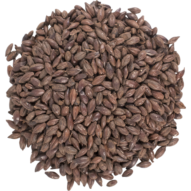 Malt - Roasted Barley - Per Lb (Showroom Only)