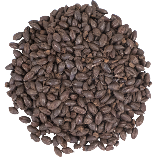 Malt - Briess Black Roasted Barley - Per Lb (Showroom Only)