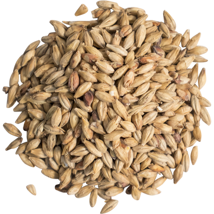 Malt - German Munich - Per Lb (Showroom Only)