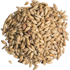 Malt - German Munich - Per Lb (Showroom Only)