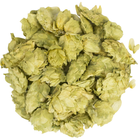Whole Hops - Mosaic - PLACEHOLDER