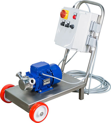 Pump - Euro 30 w/ Frequency Inverter and Remote - 220V, Single Phase - PLACEHOLDER