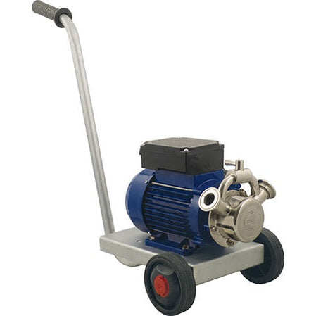 Pump - Euro 30 with Bypass - 220V, Single Phase - PLACEHOLDER