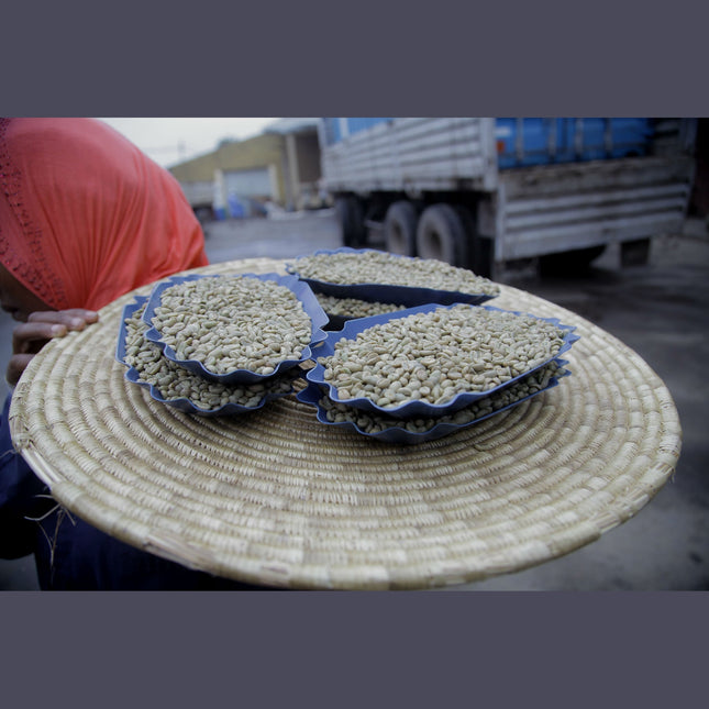 Regional Series - Ethiopia Sidamo, Wet Processed - PLACEHOLDER