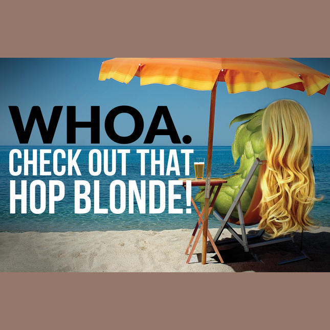 Kit (All-Grain) - Hop Blonde - PLACEHOLDER