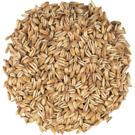 Malt - Simpsons Malt Golden Naked Oats - Per Lb (Showroom Only)