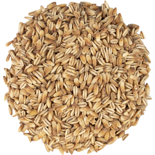 Malt - Simpsons Malt Golden Naked Oats - Per Lb (Showroom Only)