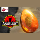 Kit (All-Grain) - Amber Light Ale - PLACEHOLDER